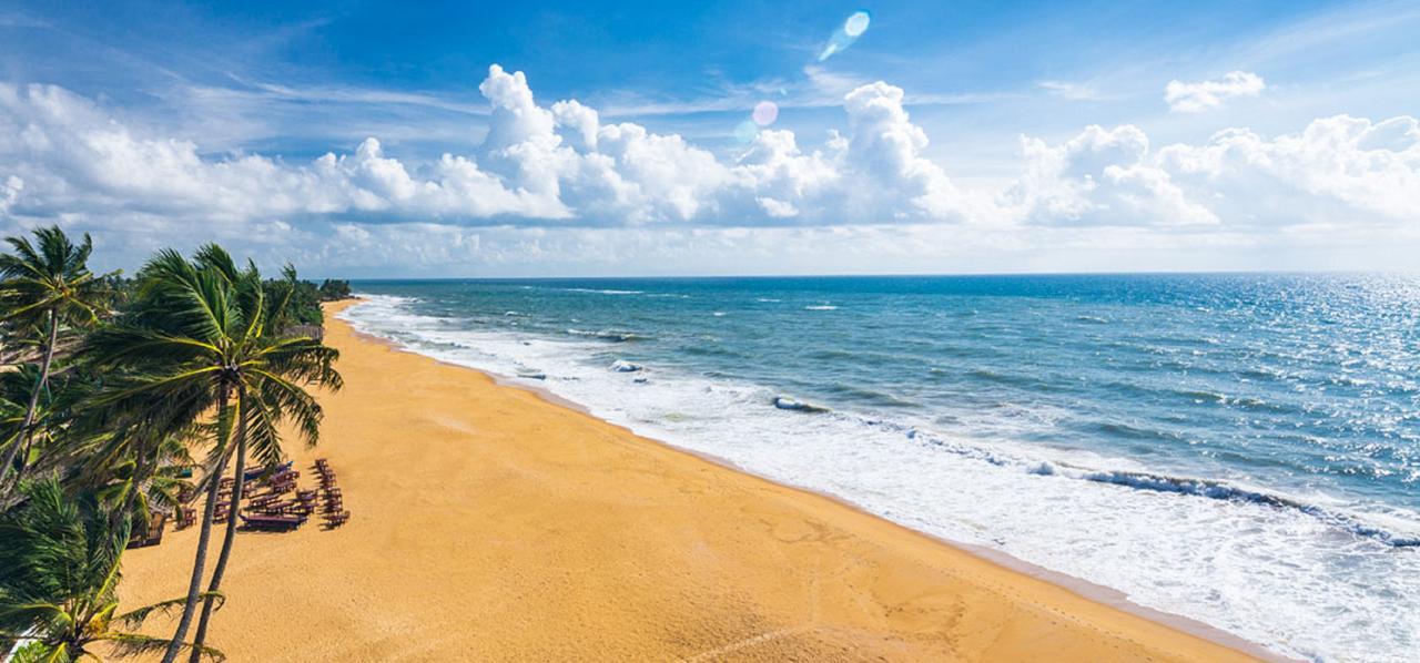 Charming Homestay By The Beach Dehiwala-Mount Lavinia Exteriör bild